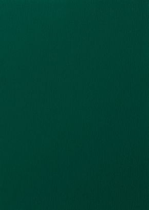 RENOLIT EXOFOL PX MOSS GREEN 6005 